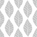 Seamless floral pattern with grey shabby hand drawn leaves on white background