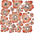 Seamless floral pattern with hand drawn flower garden elements on an isolated white background Royalty Free Stock Photo