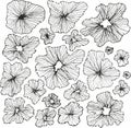 Seamless floral pattern with hand drawn flower garden elements on an isolated white background Royalty Free Stock Photo