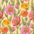 Seamless floral pattern with hand drawn watercolor poppy flowers and leaves. Royalty Free Stock Photo