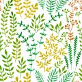 Seamless floral pattern with herbs and leaves Royalty Free Stock Photo