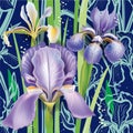 Seamless floral pattern with irises