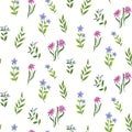 Seamless floral pattern with delicate isolated wild flowers on a light field. Vector. Royalty Free Stock Photo