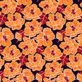 Seamless floral pattern with large yellow flowers in vintage style, autumn botanical design in vector. Royalty Free Stock Photo