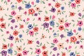 Seamless floral pattern, cute liberty ditsy print with a delicate spring meadow, small flowers, leaves. Vector design. Royalty Free Stock Photo