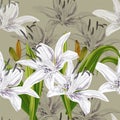 Seamless floral pattern lilies and leaves on the beige background. Romantic garden flowers illustration