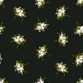 Seamless floral pattern with little white roses Royalty Free Stock Photo