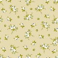 Seamless floral pattern with little white roses Royalty Free Stock Photo