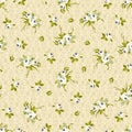 Seamless floral pattern with little white roses Royalty Free Stock Photo