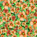 Seamless floral pattern made of orange and red malva flowers on dark green background. Watercolor painting.