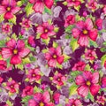 Seamless floral pattern made of red malva flowers on dark cherry background. Watercolor painting.