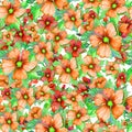 Seamless floral pattern made of red and orange malva flowers on white background. Watercolor painting.