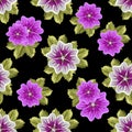 Seamless floral pattern with mallows