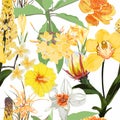 Seamless floral pattern with many kind of yellow flowers: orchids, plumeria, tulips, narcissus on white background. Royalty Free Stock Photo