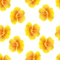 Seamless floral pattern with nasturtium. Bright yellow hibiscus flowers on white background. Botanical Motifs scattered random. Royalty Free Stock Photo