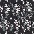 Seamless floral pattern with orchids on black background. Pencil hand drawing. Print, packaging, wallpaper, textile, fabric design Royalty Free Stock Photo