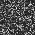 Seamless floral pattern. Palm leaves. The contours of the leaves. Chalk on black board