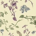 Seamless floral pattern with peppermint sprigs