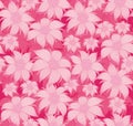 Seamless floral pattern. On a pink background, the flowers are edelweiss, water lily, lotus. For postcard, invitations, textiles. Royalty Free Stock Photo