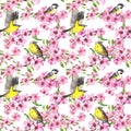 Seamless floral pattern with pink flowers. Spring birds on flowering branches of cherry, sakura. Watercolor repeated Royalty Free Stock Photo