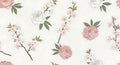 Seamless Floral Pattern with Pink Peonies and Cherry Blossoms Royalty Free Stock Photo