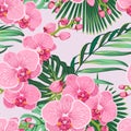 Seamless floral pattern. Pink purple orchid phalaenopsis with green jungle palm tree exotice tropical leaves. Royalty Free Stock Photo