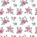 Seamless floral pattern with pink roses and green leaves. Watercolor illustration Royalty Free Stock Photo