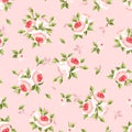 Seamless floral pattern with pink roses. Vector illustration Royalty Free Stock Photo