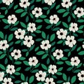 Seamless floral pattern with plain white flowers, large green leaves on a dark background. Vector botanical design. Royalty Free Stock Photo