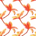 Seamless floral pattern with plumeria. Watercolor background with tropical orange and yellow flowers for textile and decor Royalty Free Stock Photo