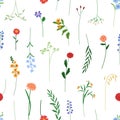 Seamless floral pattern, print. Botanical background with flowers, stems, delicate blooms, wildflower branches. Endless