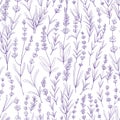 Seamless floral pattern with purple lavender. Botanical background, French violet flowers repeating print. Blossomed Royalty Free Stock Photo