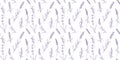 Seamless floral pattern with purple lavender. Botanical background Royalty Free Stock Photo