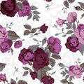 Seamless floral pattern with purple roses on white background, w Royalty Free Stock Photo