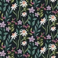 Seamless floral pattern with realistic wild flowers on a dark field. Vector. Royalty Free Stock Photo