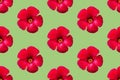 Seamless floral pattern from red hibiscus flowers on green background. Tropical summer backdrop for wellness spa natural cosmetics Royalty Free Stock Photo