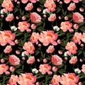 Seamless floral pattern with of red and orange roses on black background. Classic rose background. Vector illustration. Royalty Free Stock Photo