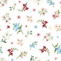 Seamless floral pattern with red, pink and blue flowers on a white background. Vector illustration. Royalty Free Stock Photo