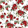 Seamless floral pattern with red roses on white background Royalty Free Stock Photo