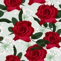 Seamless floral pattern with red roses and white herbs on light mint background. Royalty Free Stock Photo