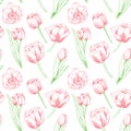 Seamless floral pattern with red tulips. Bright flowers with leaves on a white background. Bright juicy pattern for textiles and Royalty Free Stock Photo