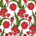 Seamless floral pattern from red tulips on white background in vector. Royalty Free Stock Photo