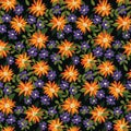 Seamless floral pattern, liberty ditsy print in vintage style: orange flowers, small leaves on a dark background. Vector. Royalty Free Stock Photo
