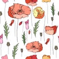 Seamless floral pattern with romantic poppy flowers.