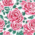 Seamless floral pattern with roses, watercolor. Vector illustration. Royalty Free Stock Photo