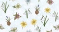 Seamless Floral Pattern with Snowdrops and Pinecones Royalty Free Stock Photo