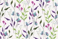 Seamless floral pattern, delicate botanical design with spring wild flowers, leaves, herbs on white. Vector Royalty Free Stock Photo