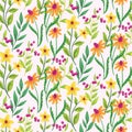 Seamless floral pattern, spring ditsy print with watercolor botany, wild flowers on white. Vector. Royalty Free Stock Photo