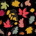 Seamless floral pattern with stylized autumn colorful foliage on black background vector graphics.Falling leaves Royalty Free Stock Photo