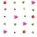 Seamless floral pattern with summer flowers and cherries Royalty Free Stock Photo